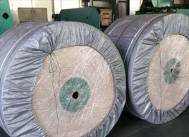 1100宽尼龙输送带